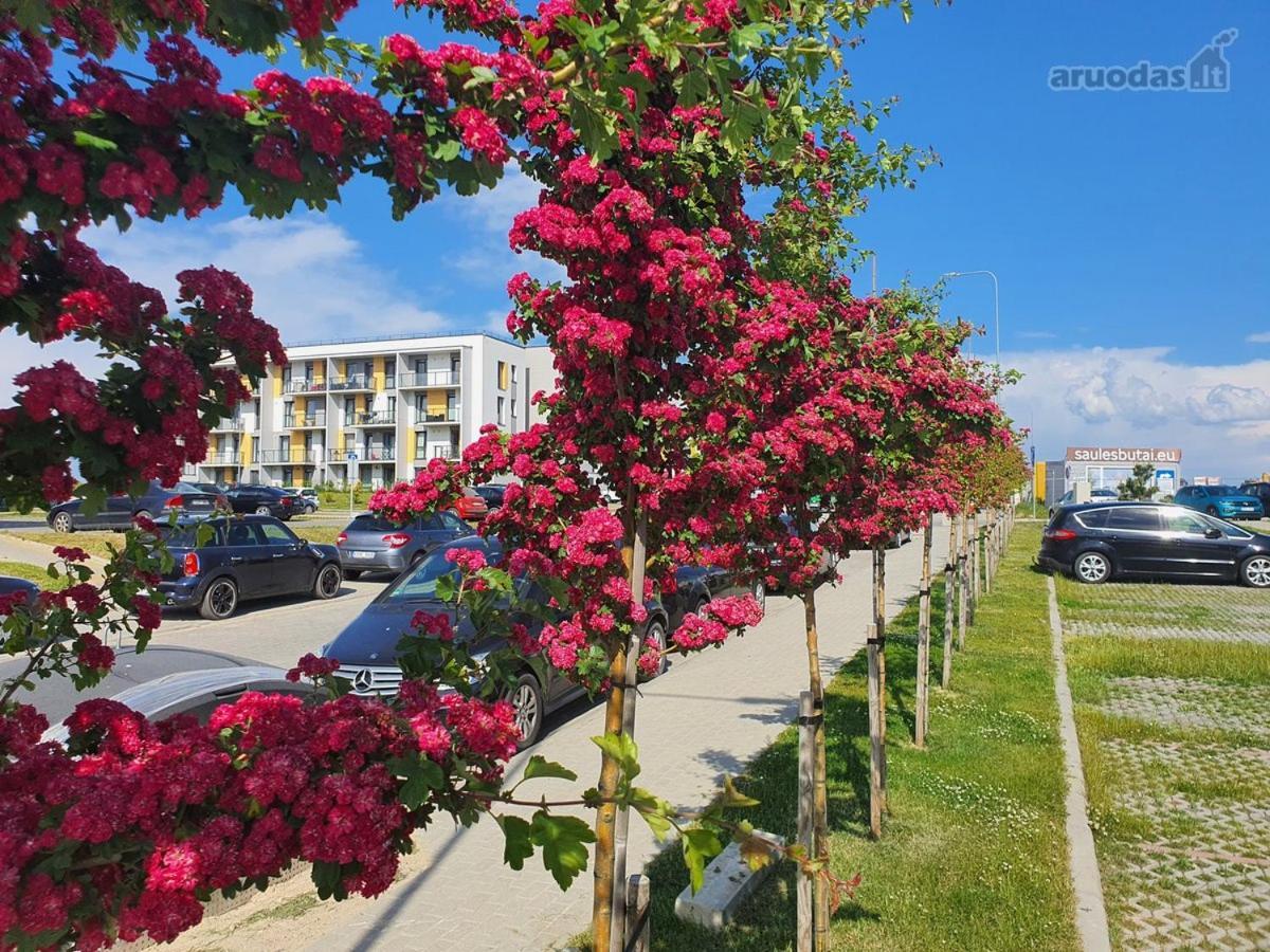 New Studio Free Parking Klaipėda Exterior foto